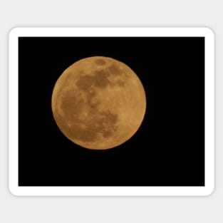 Yellow Moon Sticker